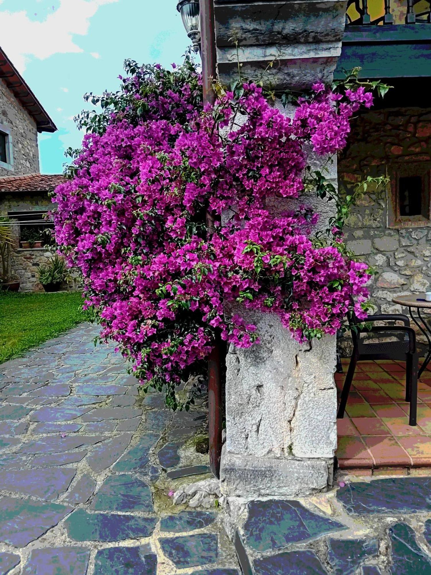 Villa Gran Pedroso Llanes Exterior foto